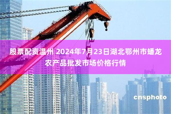 股票配资温州 2024年7月23日湖北鄂州市蟠龙农产品批发市场价格行情