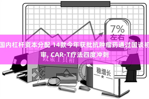 国内杠杆资本分配 14款今年获批抗肿瘤药通过国谈初审, CAR-T疗法四度冲刺