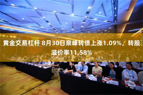 黄金交易杠杆 8月30日泉峰转债上涨1.09%，转股溢价率11.58%