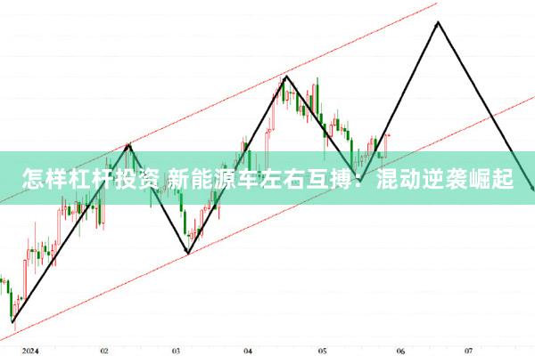 怎样杠杆投资 新能源车左右互搏：混动逆袭崛起