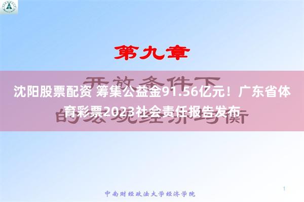 沈阳股票配资 筹集公益金91.56亿元！广东省体育彩票2023社会责任报告发布