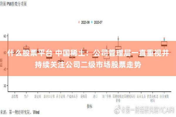 什么股票平台 中国稀土：公司管理层一直重视并持续关注公司二级市场股票走势