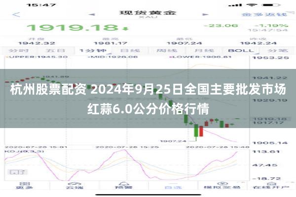 杭州股票配资 2024年9月25日全国主要批发市场红蒜6.0公分价格行情