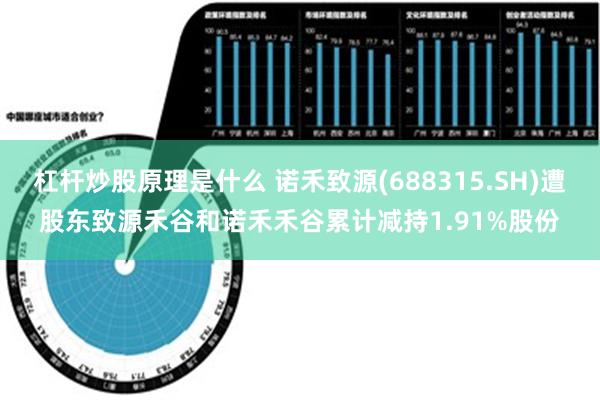 杠杆炒股原理是什么 诺禾致源(688315.SH)遭股东致源禾谷和诺禾禾谷累计减持1.91%股份