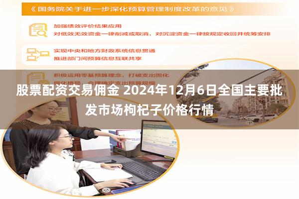 股票配资交易佣金 2024年12月6日全国主要批发市场枸杞子价格行情