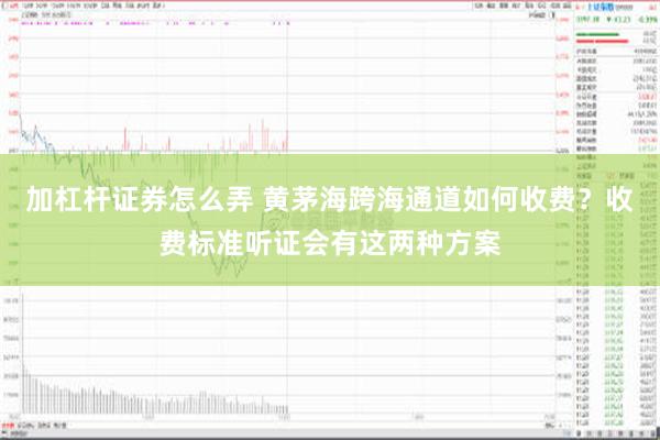 加杠杆证券怎么弄 黄茅海跨海通道如何收费？收费标准听证会有这两种方案