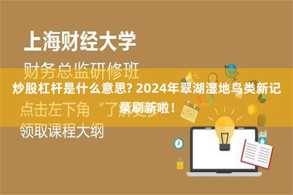 炒股杠杆是什么意思? 2024年翠湖湿地鸟类新记录刷新啦！