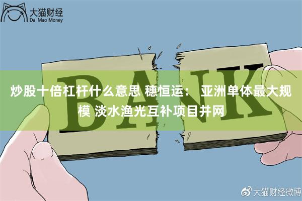 炒股十倍杠杆什么意思 穗恒运： 亚洲单体最大规模 淡水渔光互补项目并网