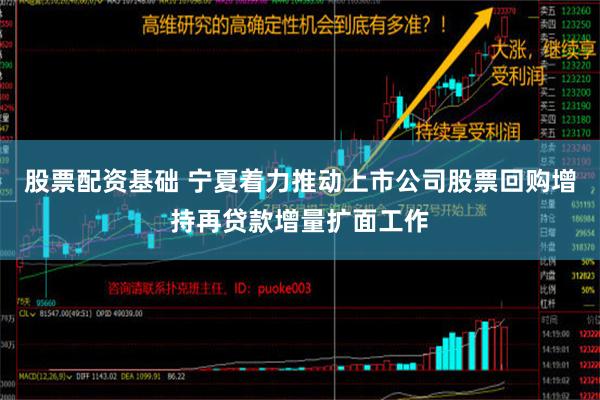 股票配资基础 宁夏着力推动上市公司股票回购增持再贷款增量扩面工作