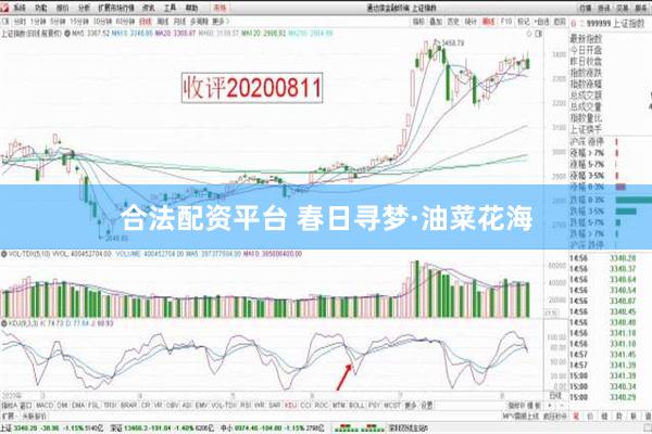 合法配资平台 春日寻梦·油菜花海